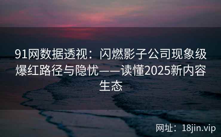 91网数据透视：闪燃影子公司现象级爆红路径与隐忧——读懂2025新内容生态