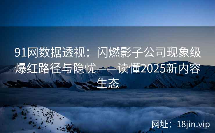 91网数据透视：闪燃影子公司现象级爆红路径与隐忧——读懂2025新内容生态