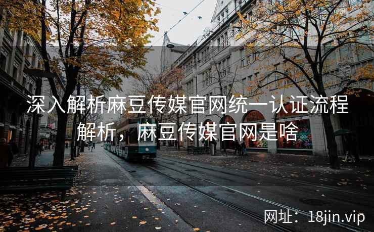 深入解析麻豆传媒官网统一认证流程解析，麻豆传媒官网是啥