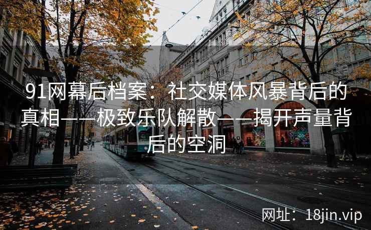 91网幕后档案：社交媒体风暴背后的真相——极致乐队解散——揭开声量背后的空洞