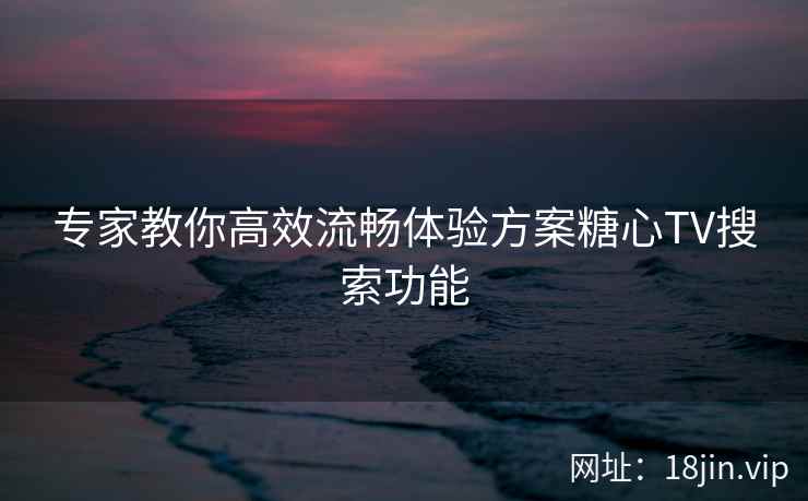 专家教你高效流畅体验方案糖心TV搜索功能