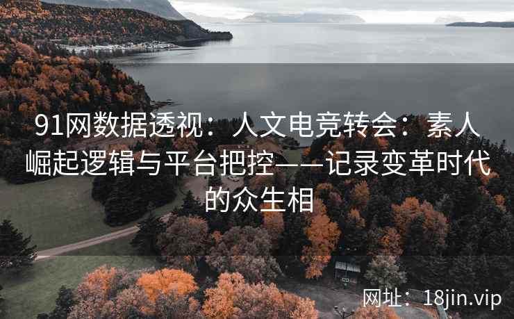 91网数据透视：人文电竞转会：素人崛起逻辑与平台把控——记录变革时代的众生相