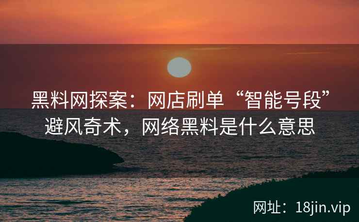 黑料网探案：网店刷单“智能号段”避风奇术，网络黑料是什么意思