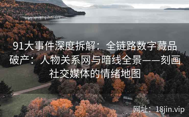 91大事件深度拆解：全链路数字藏品破产：人物关系网与暗线全景——刻画社交媒体的情绪地图