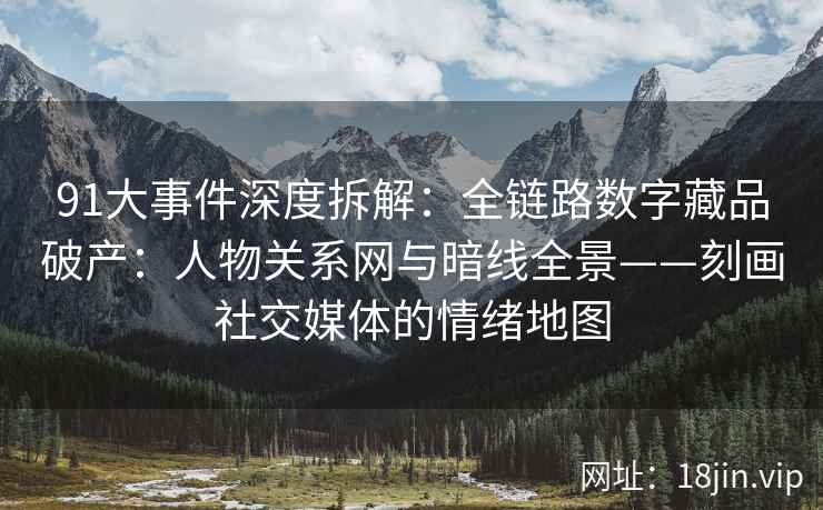 91大事件深度拆解：全链路数字藏品破产：人物关系网与暗线全景——刻画社交媒体的情绪地图