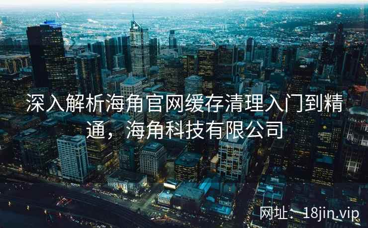 深入解析海角官网缓存清理入门到精通，海角科技有限公司