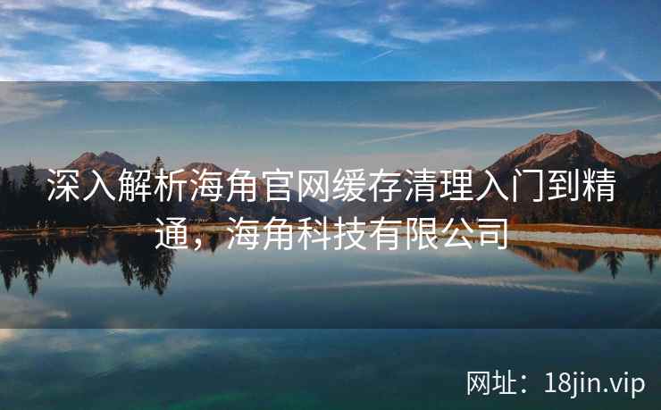 深入解析海角官网缓存清理入门到精通，海角科技有限公司